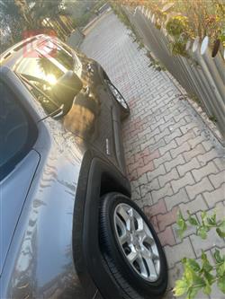 جيب رينيجيد